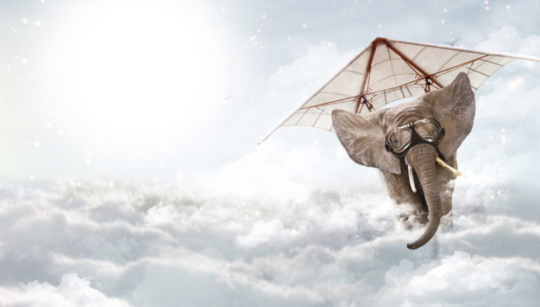 Das Bild zeigt eine Photoshop Illustration eines fliegenden Elefanten