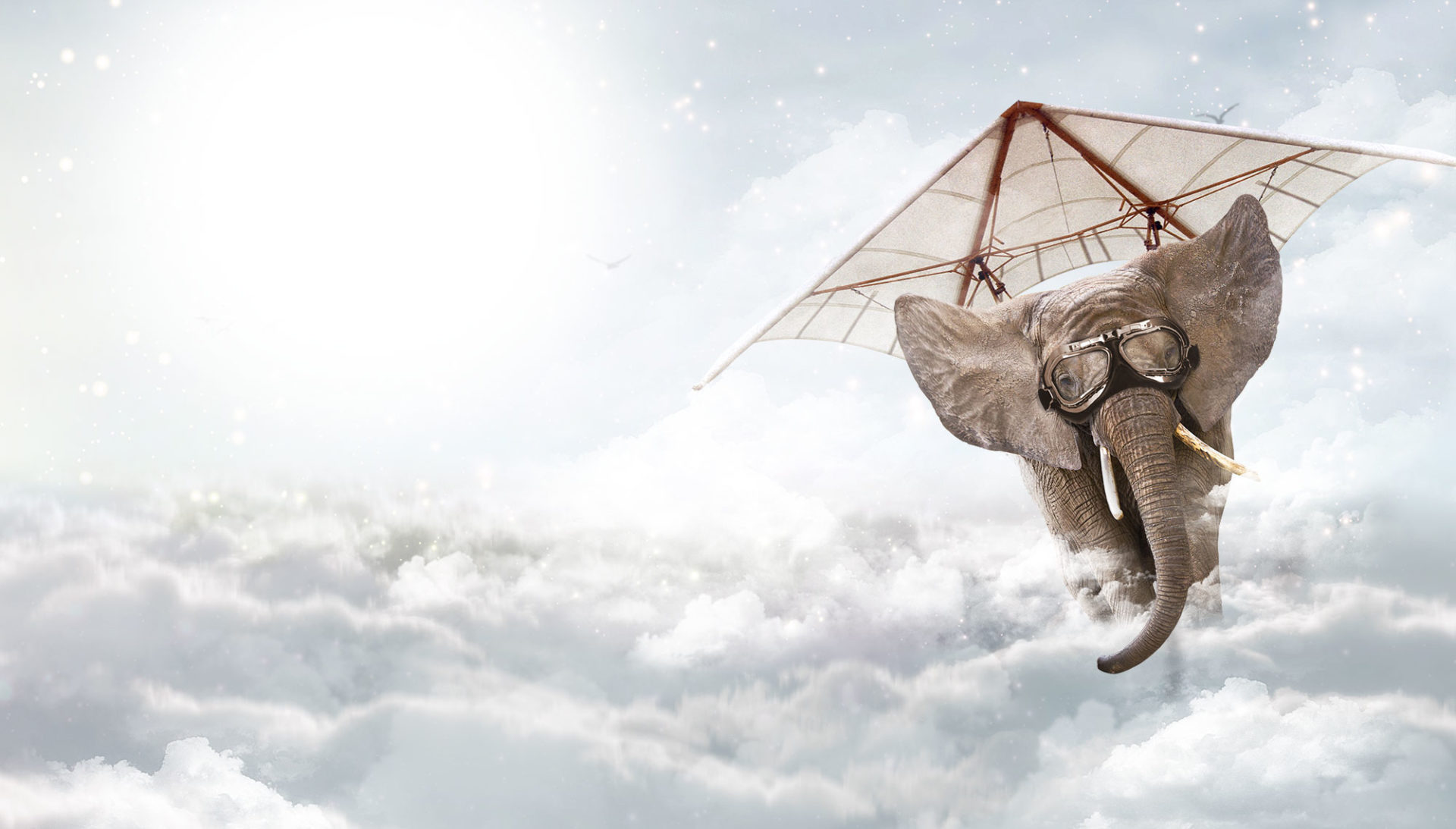 Das Bild zeigt eine Photoshop Illustration eines fliegenden Elefanten