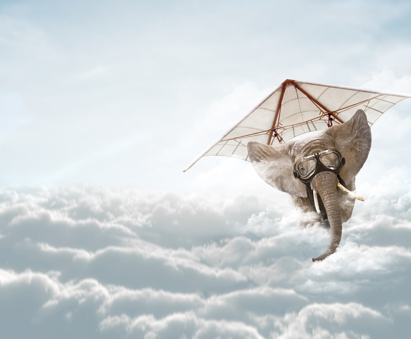 Das Bild zeigt einen fliegenden Elefant – barrierefrei durch die Wolken