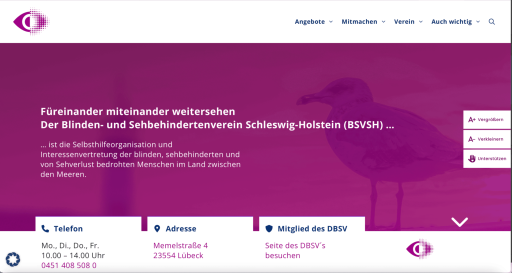 Screenshot der Seite BSVSH
